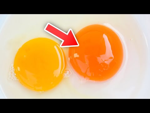 The Color Of Your Egg Yolks Actually Does Matter, Here's Why...