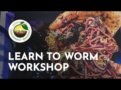 Learn To Worm Workshop - Oʻahu Community Worm Ohana