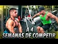 4 SEMANAS PARA COMPETIR | ENTRENAMIENTO de EMPUJES + POSING