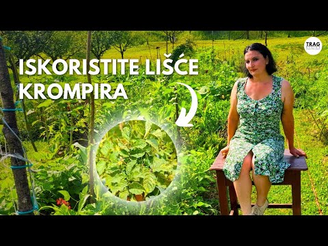 DON'T THROW POTATO LEAVES: Use it this way