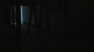 M2U00511 ua rere mai ra_Jeudi 11.12.2008