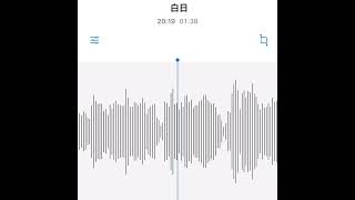 #駄菓子cOver型 - 白日/King Gnu