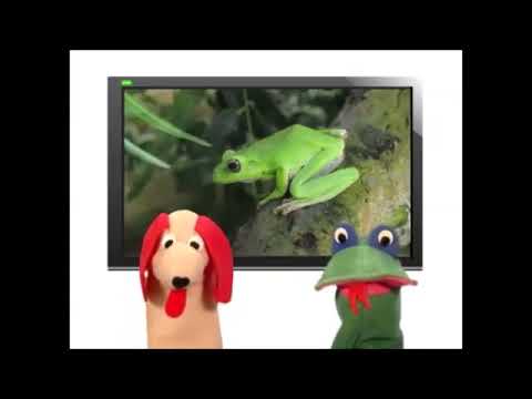 Jordan’s Sound Effects Compilation No.42:Sound Ideas, MARSH, NIGHT -CRICKETS, FROGS, AMBIENCE, SWAMP