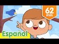 Veo Algo Azul | Colores en Español Para Niños y Más Canciones Infantil