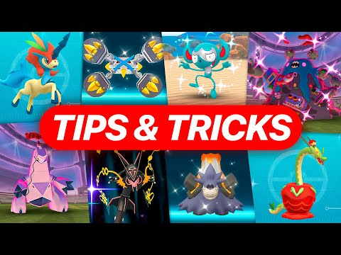 Ultimate Guide to the KELDEO Season!