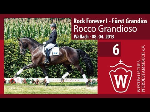 06 Rocco Grandioso Wallach v. Rock Forever I - Fürst Grandios