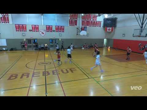 Team Horton vs TLDR.D - NOW*TCBL COED - 2022 summer