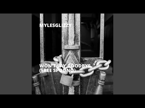 Won’t Say Goodbye (Free Spoono)