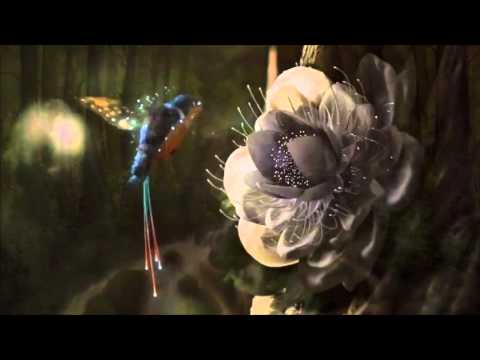 Ai ai ai ai ayhuasca, ai ai ai ai nixipaã, ai ai ai ai cura curandeira.