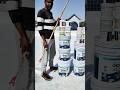 Birla Opus Damp Proof Alldry Wall N Roof 10 साल की वारंटी के साथ ️