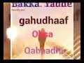 Siba Afan Oromo Music Best