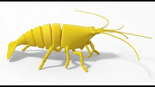 Pohyblivá 3D kreveta