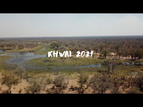 Khwai 2021