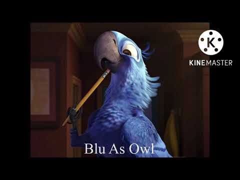 The Many Adventures Of Rabbid