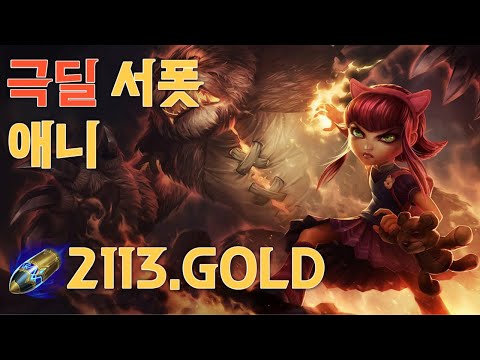 선공 2113골드 극딜서폿 애니