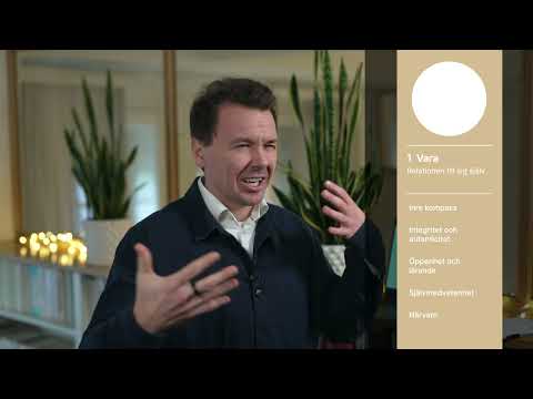 IDG Framework with Jan Artem Henriksson (Swedish)