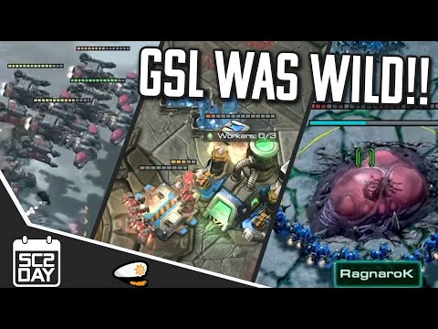 Proxy HATCHES, Mass Battlecruiser  and PROXY Reaper MIRROr. GSL WAS WILD |sc2day | SC2DAY