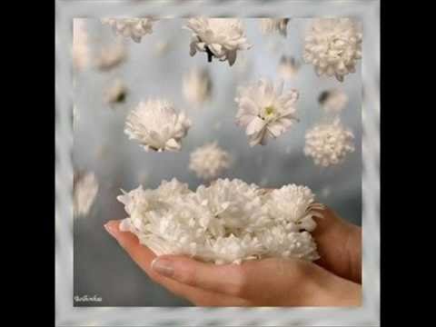 Irmã Scheilla - Oficial.wmv