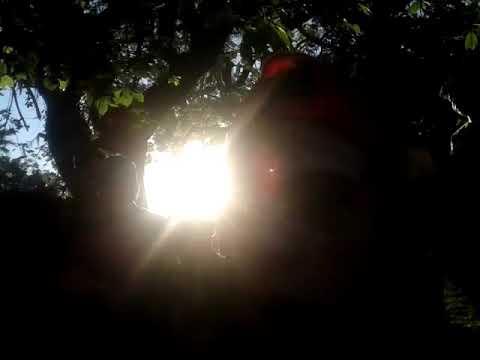 CRANNE vs GAMMA - 4TOS - REGIONAL PARANÁ (Invasión Rapper Deluxe - Final Nacional) 1vs1