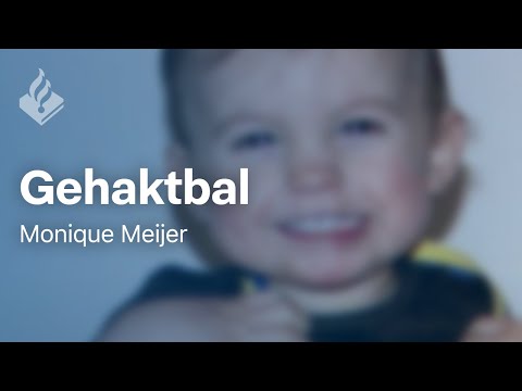 Gehaktbal - door Monique Meijer - Politieverhaal in beeld