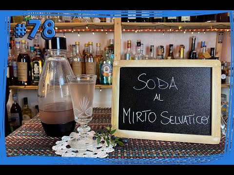 #78 Basi e Premix - Come preparare una SODA al MIRTO SELVATICO - ll Giardino Sotto Il Naso