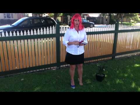 Sapato desaparecido de Julia Gingerella