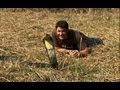Awesome King Cobra Deadly 60 Series 2 BBC Earth