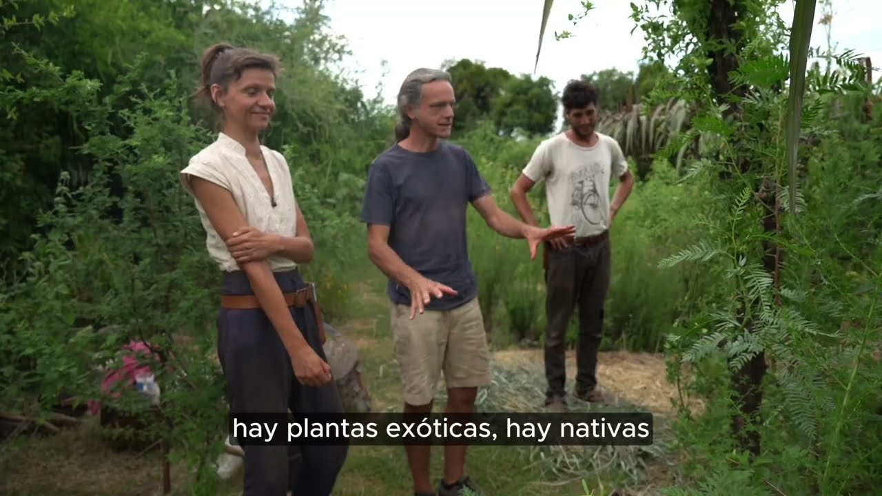 Agrofloresta en las sierras