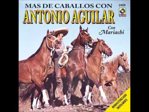 El Caballo Vs La Yegua - Anthonny El Real Dj
