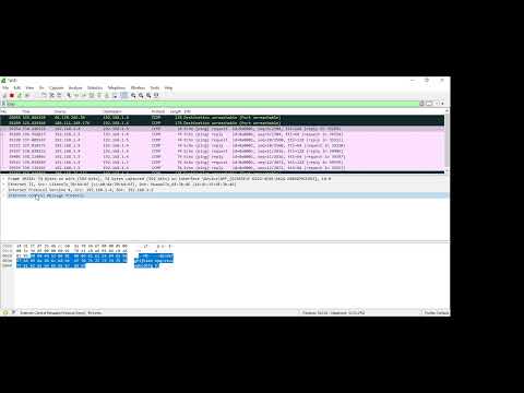 Lab 3.7.10 Use Wireshark to View Network Traffic