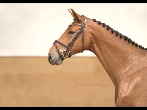 19 | Quira v. Quadros - Clearway