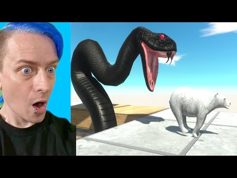 Who Can Escape From The Black Mamba