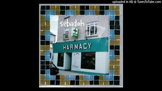 Sebadoh - Beauty of the Ride