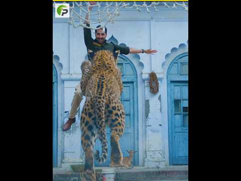 iLLogical Funny Action Scenes From Movies 😆 | EP-5