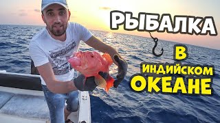 К какой отрасли относится ловля рыбы в океане