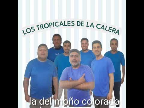 LOS TROPICALES DE LA CALERA ] SN LS.