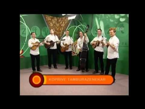 Koprive - Ki pije vince, Po lojtrici gor i dol