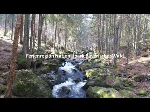 Steinklamm Ferienregion Nationalpark Bayerischer Wald