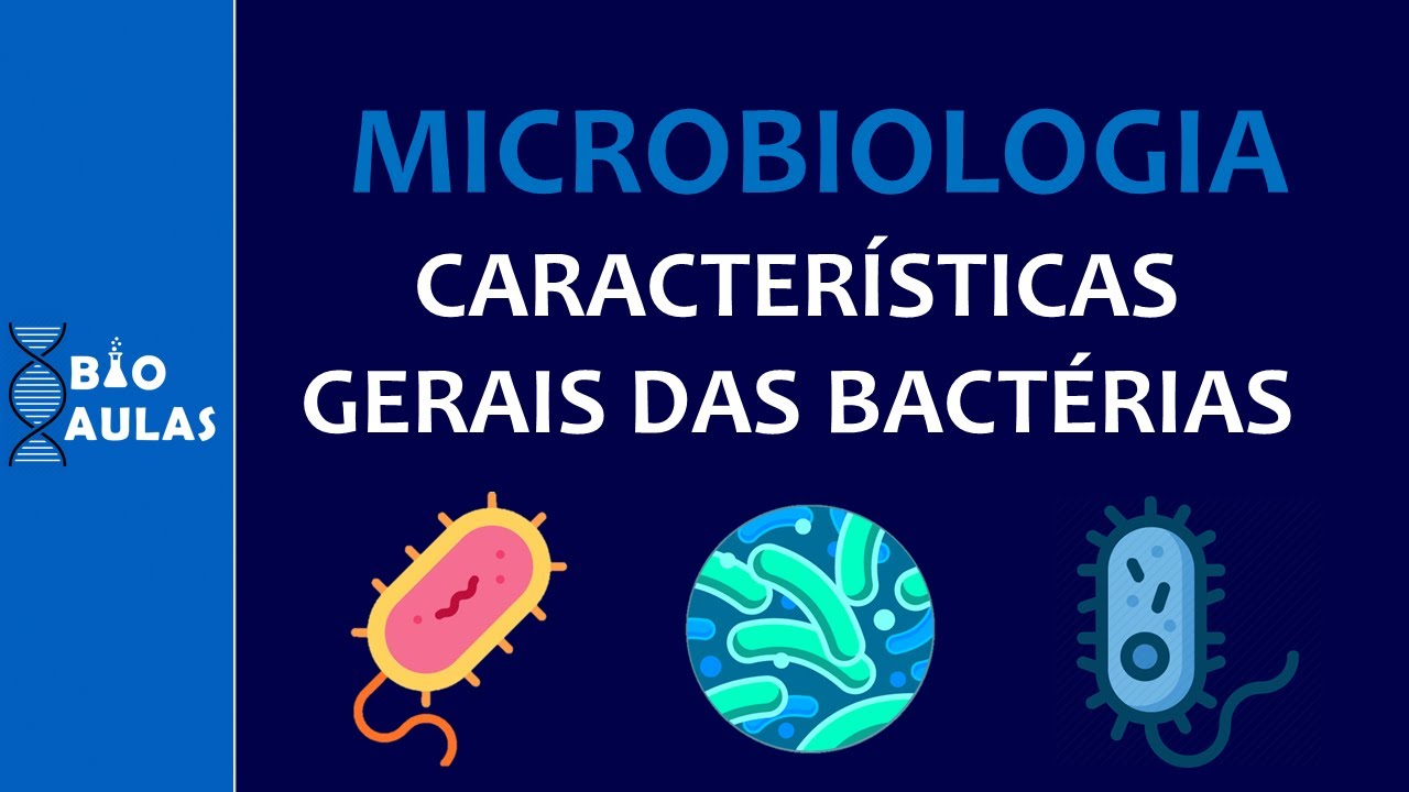 Características Gerais das Bactérias: Reino Monera - Microbiologia (Bacteriologia)