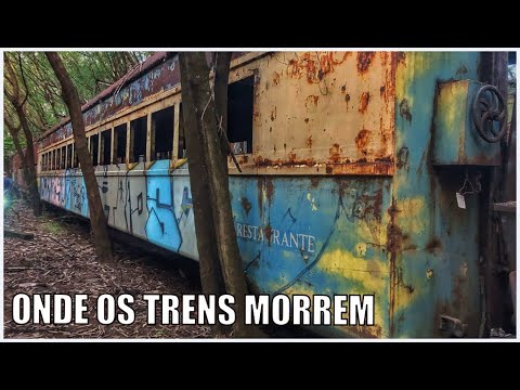 Cemitério de Trens, Vagão PRESÍDIO, Vagão Restaurante, ABANDONADOS na Mata, Hoje Trens FANTASMAS.