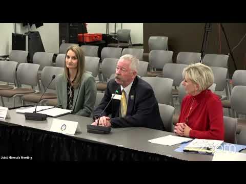 Joint Minerals, Business & Economic Development Meeting, January 13, 2022-PM