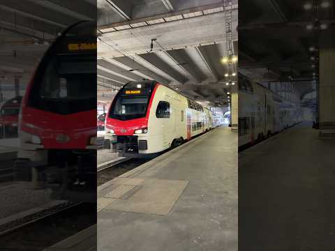 IR 36 to Zürich Departing Basel SBB!  #train #viralshorts #blowup #fypシ #viral #shorts