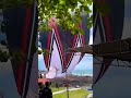 WOW PENERBANGAN JANGGAN TERBESAR Layangan Layanglayang Layanganputus Layangannaga Kite Shorts
