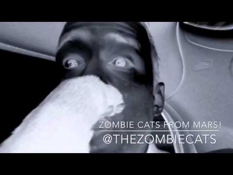 Zombie Cats from Mars