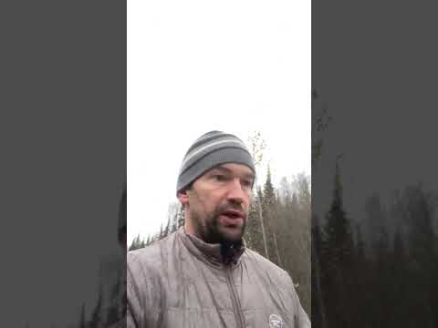 Higher Education: storm a-brewing and a suggested structural remedy