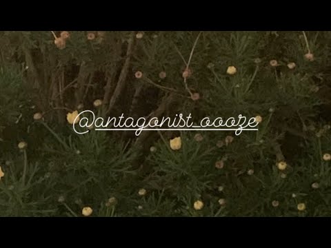 Video thumbnail SCUCeY1epFU