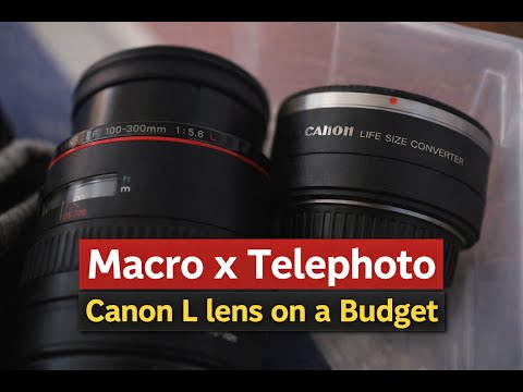 Video thumbnail for Video Review 3
