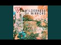 Wilderness of Mirrors