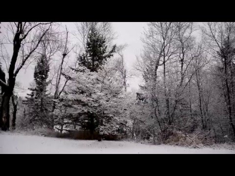 Billings Park in Winter