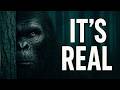 They Saw Bigfoot Their Testimonies Were Silenced